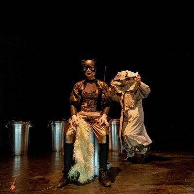 katia the cat 7@aureo gómez